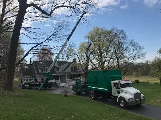 Countryside Tree Experts crane truck lifting a sectioned tree clear of a residential home