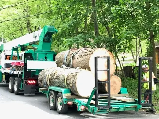 Flatbed truck hauling two large sectioned tree logs after a Countryside crane removal