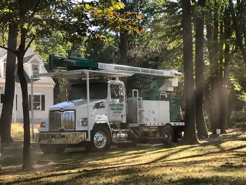 Countryside Tree Experts bucket truck under mature trees at a residential home, company name and phone number painted on the door