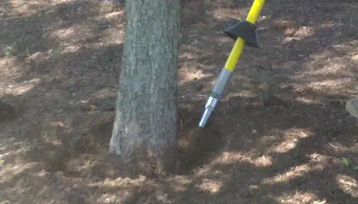 Close-up of a root fertilization injector tool in the soil