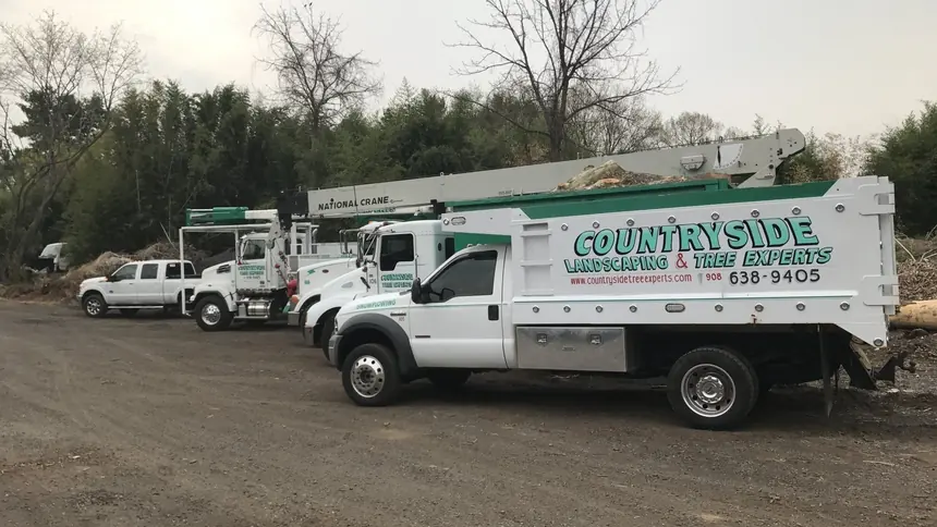 Four branded Countryside Tree Experts trucks lined up at the company yard in High Bridge, New Jersey
