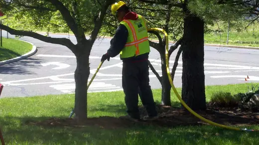 A Countryside Tree Experts crew member in hi-vis and a hard hat performing a plant healthcare treatment at a commercial property